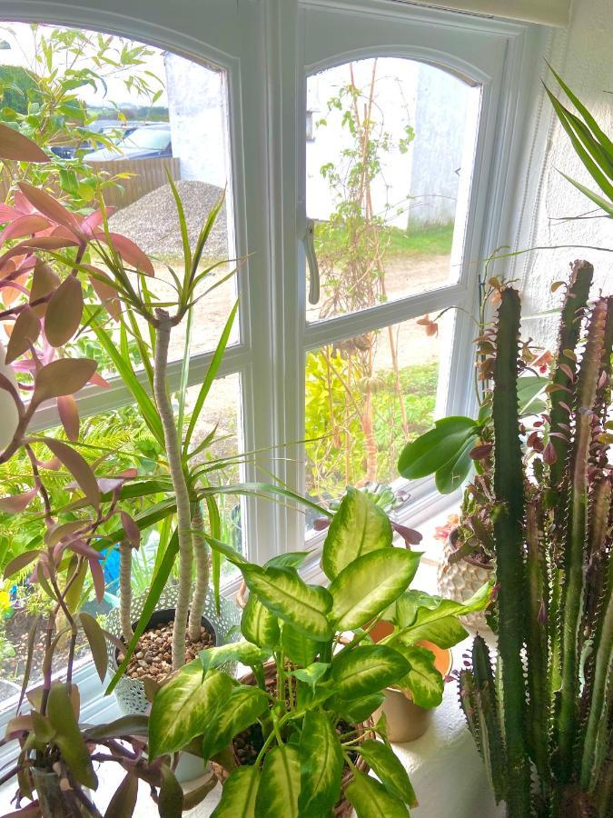 Idyllic Cornish Cottage, Superking Bed, Private Garden Dogs Welcome 트루로 외부 사진